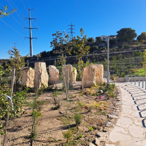 גן ציבורי - רמת בית שמש