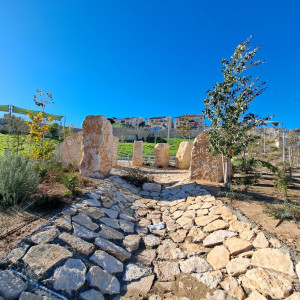 גן ציבורי - רמת בית שמש