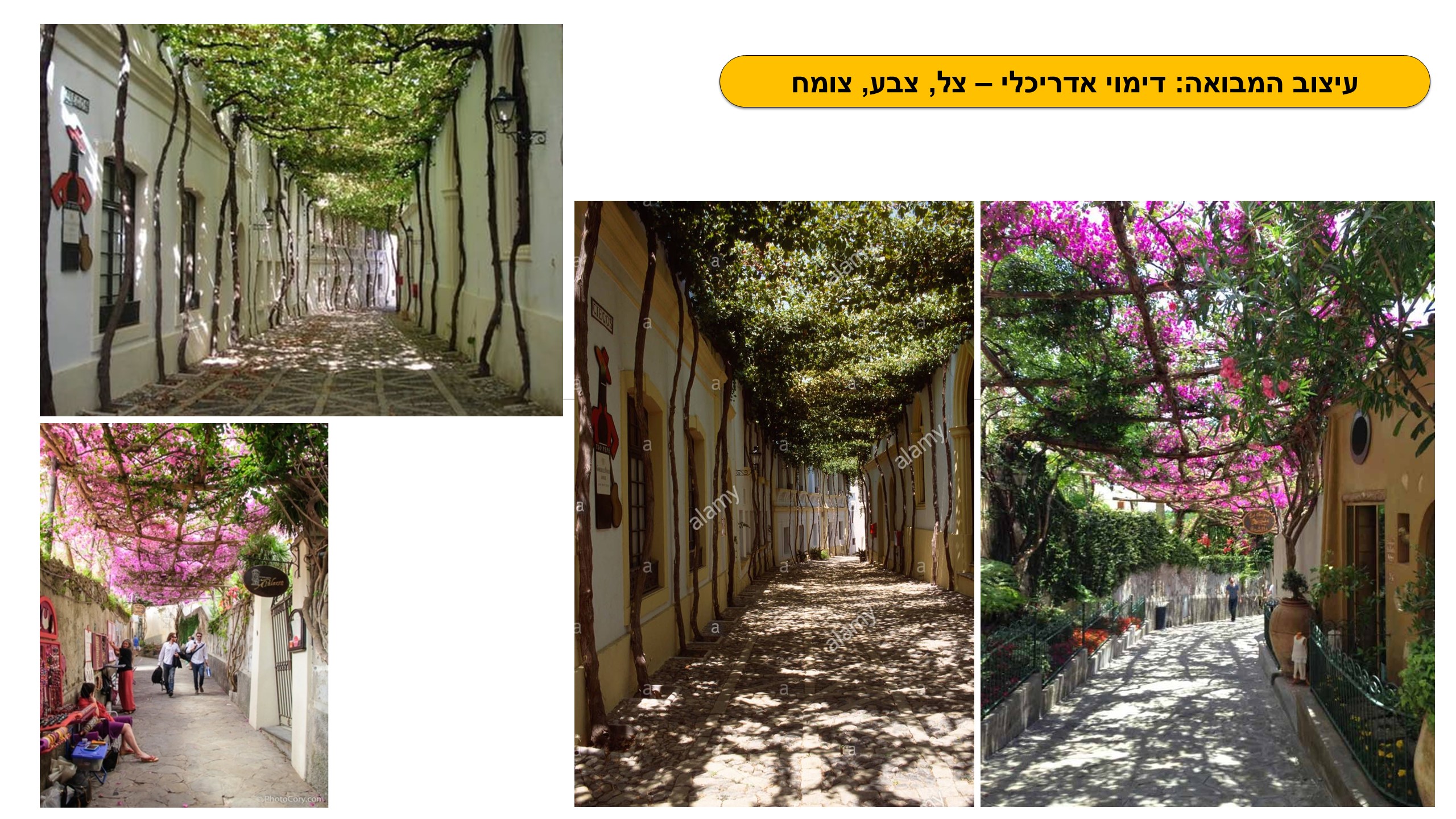 גן לאומי תל באר שבע - פיתוח מבואה חדשה