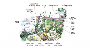 פארק החורשות באבו כביר