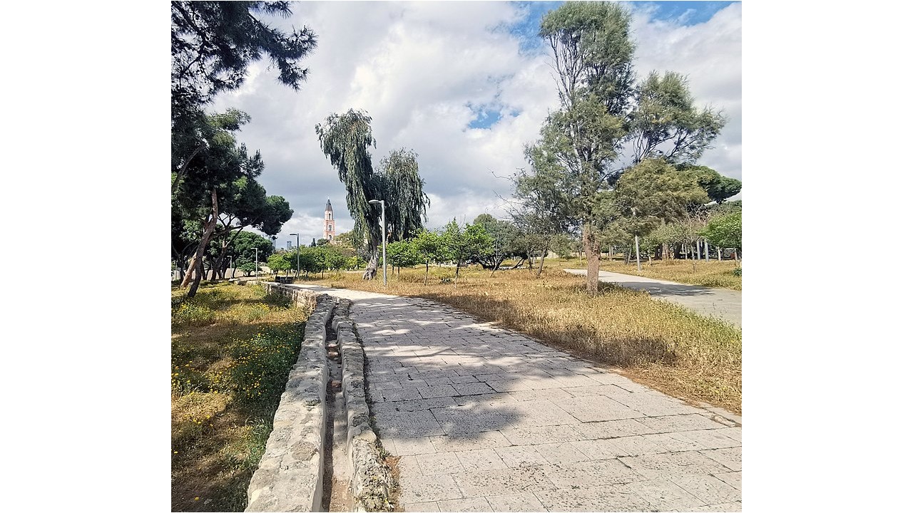 פארק החורשות באבו כביר